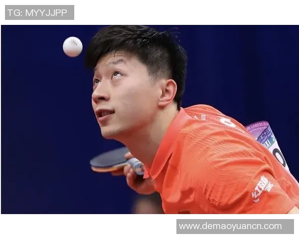 专访乒乓球明星李磊揭秘他成功背后的训练与心路历程